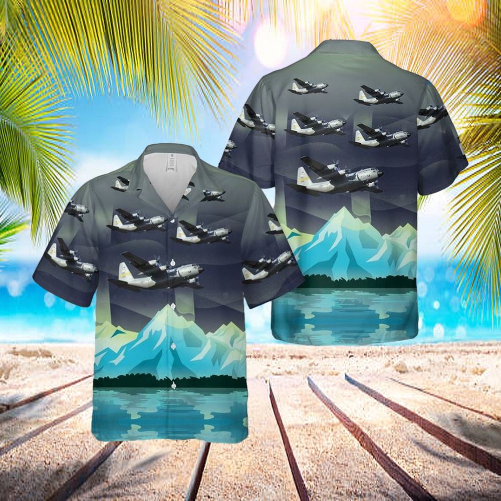 Us Air Force C-130h Alaska Air National Guard Hawaiian Shirt - Hawaiian Outfit For Men - Gift For Young Adult